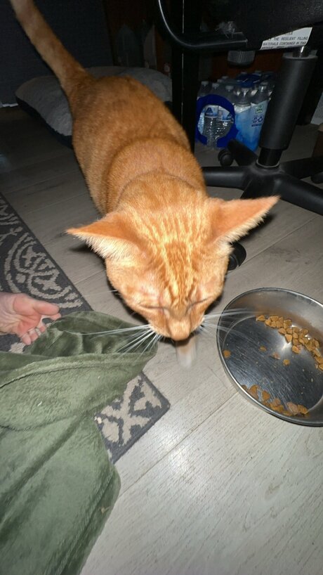 Liilwitch naked star galleries