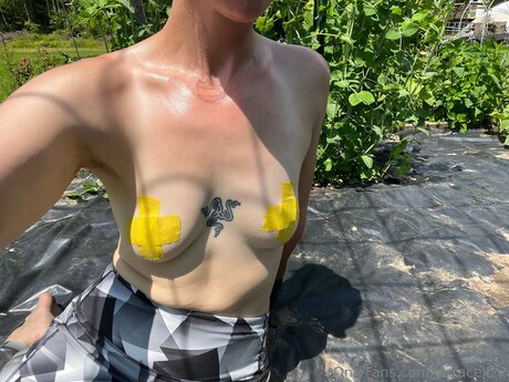 Duracell22 pornstar erotic pic