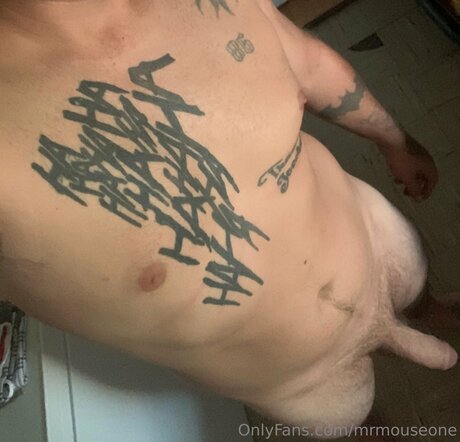 Mrmouseone pornstar nice photos