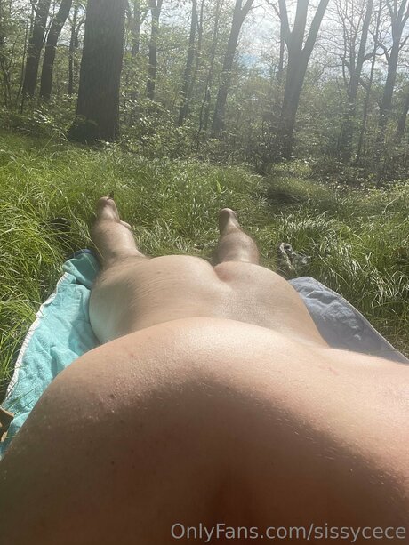 Sissycece adult actress image