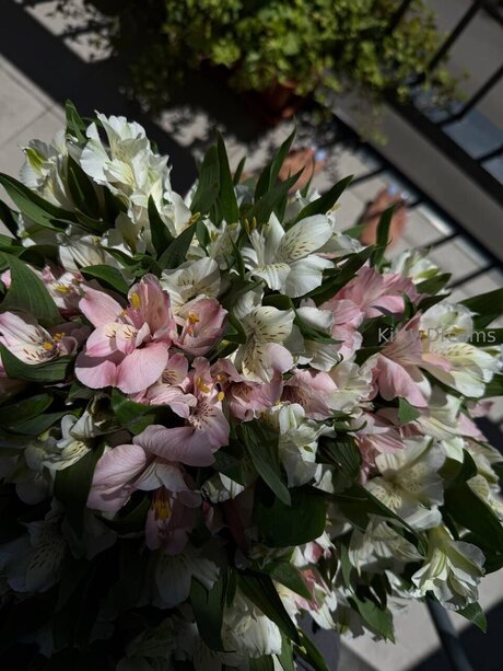 Kitty Dreams Vip pretty actress pictures