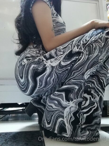 Tarritodemiel high quality model picture