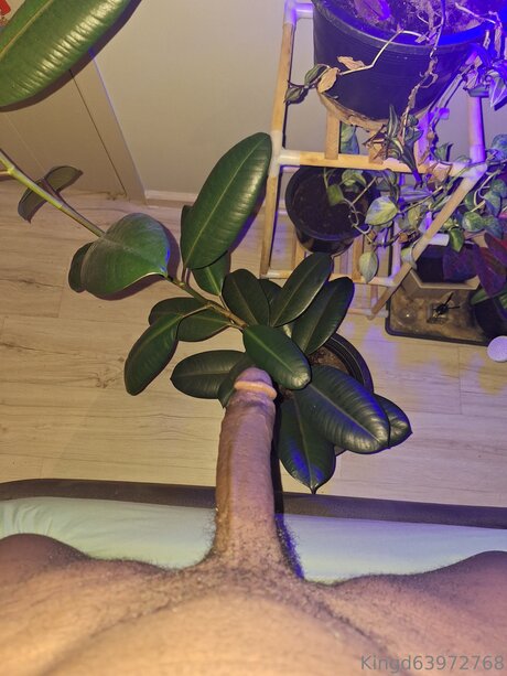 U370740840 star hd gallery