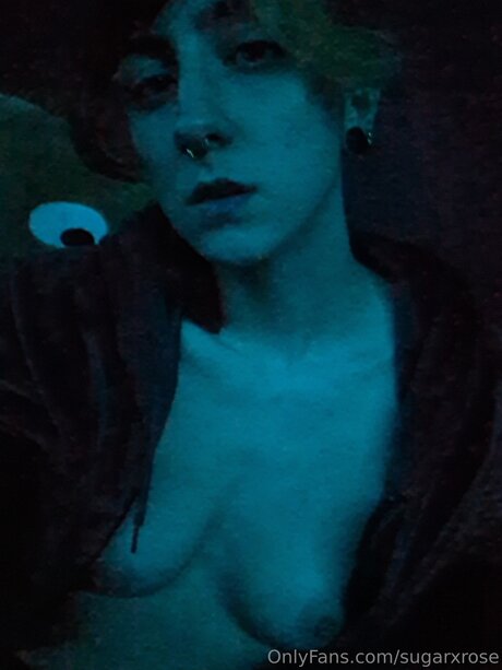 Sugarxrose star pornographic archive