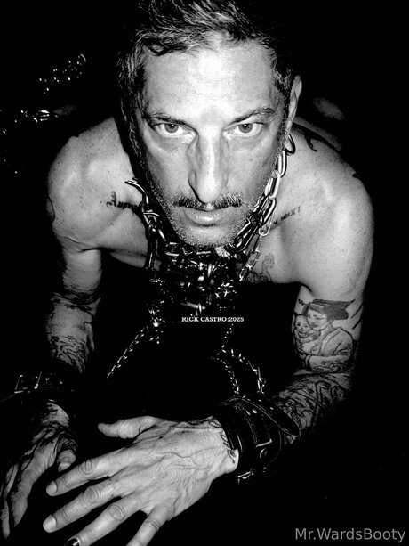 Mrward88 actress img