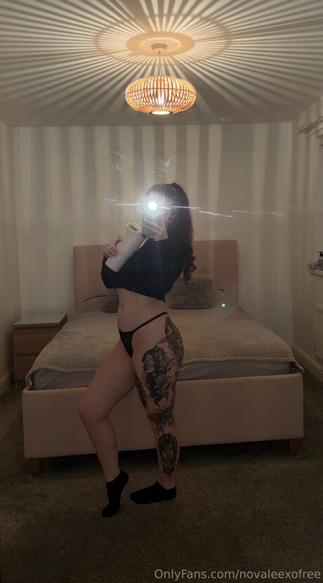 Novaleexofree hd pornstar archive