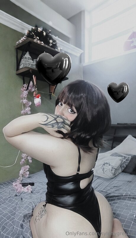 Sylphygreyrat star adult picture