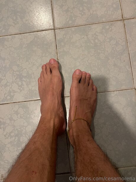 Cesarnorena pornstar gallery