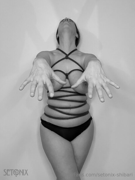 Setonix Shibari art star gallery