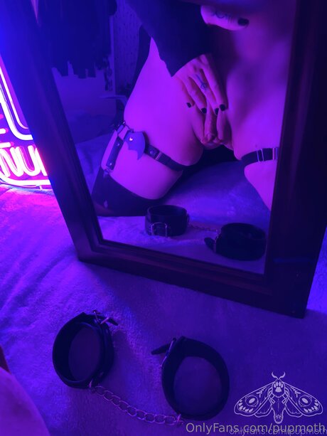 Pupmoth pretty star galleries