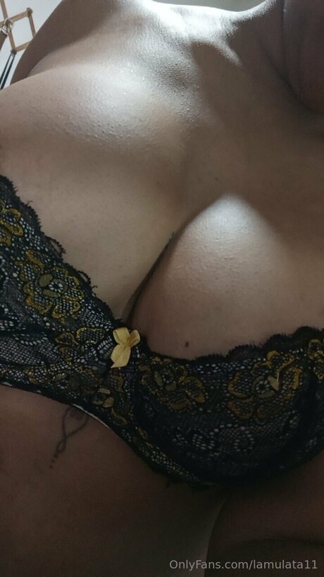 Lamulata11 exclusive pornstar img