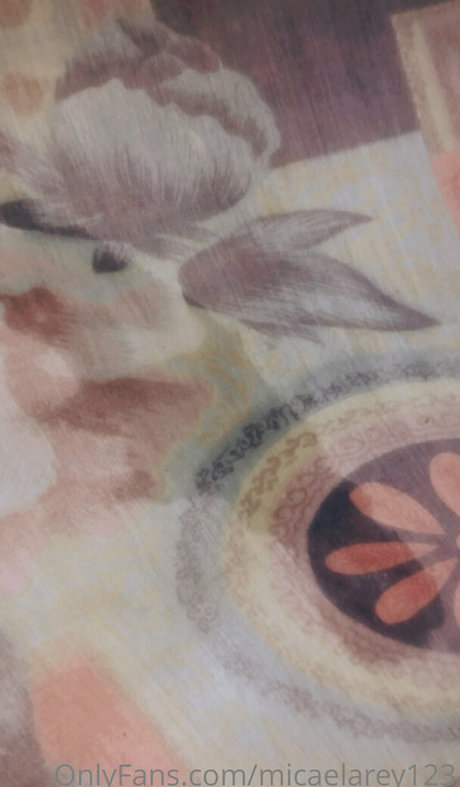 micaelarey123 nudes star archive