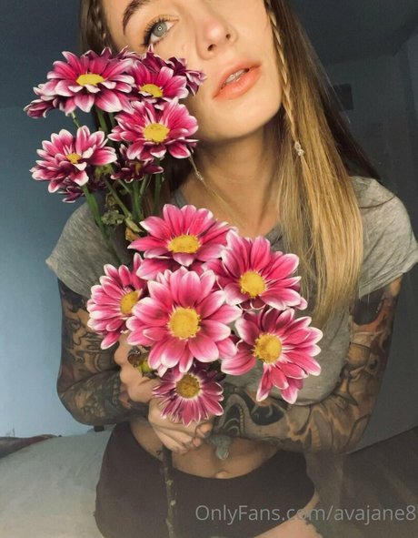 avajane8 pornstar art image