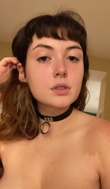 dankzestykale sexy star pic