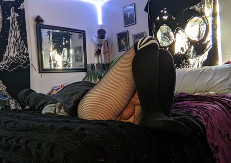 disastergays718 profile image