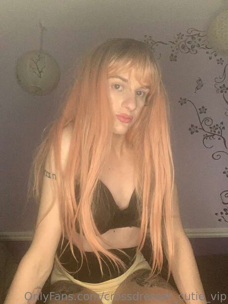 Crossdresser Cutie Vip pornstar galleries