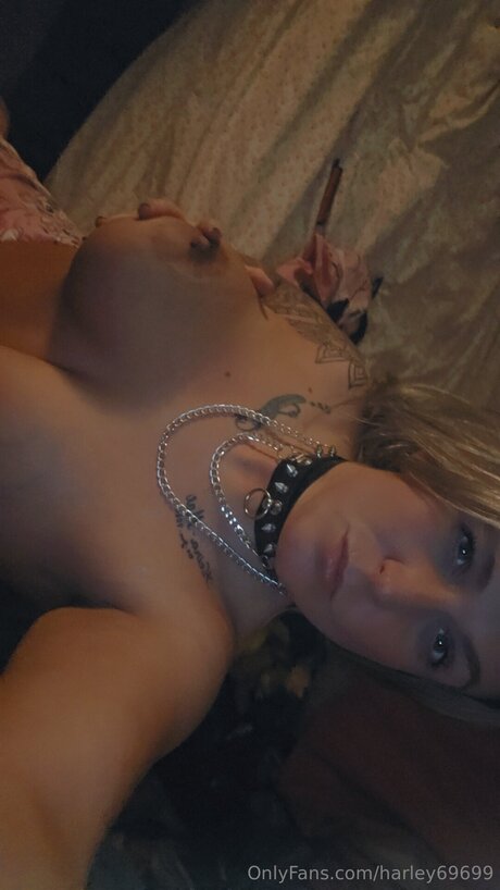 Harley69699 top pornstar pictures
