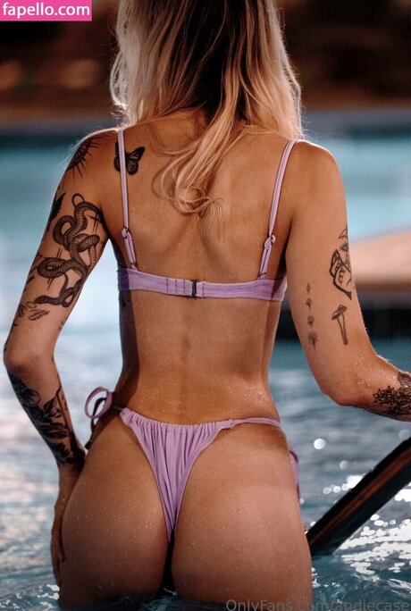 And1e C4se model top img