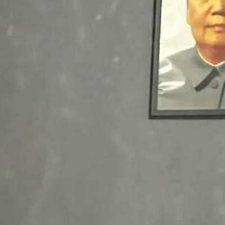 cerolis high quality model photo