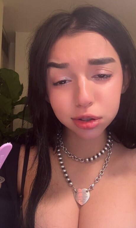 userwholovesnowfall star free picture