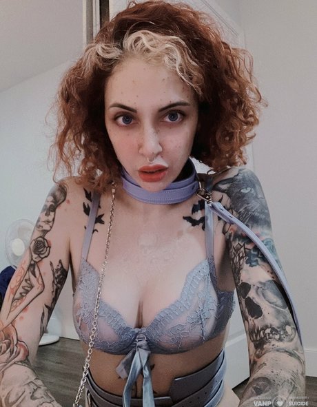 I Am The Daddy top pornstar gallery