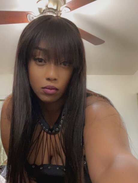StacyQ exclusive star pic