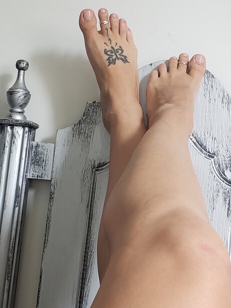 Tootsies24u erotic pornstar images