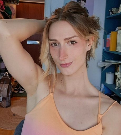 Fairyruuu model image