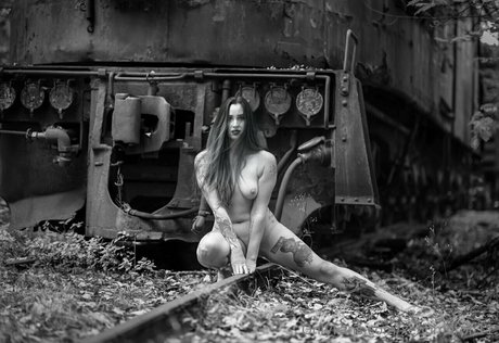 ripley1111 hd pornstar img