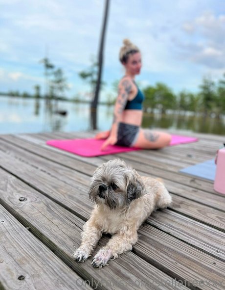 stellafreexxx pornstar erotic pic