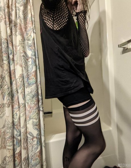 n somnium art star galleries