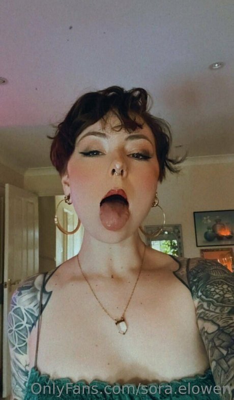 sora elowen pornstar img