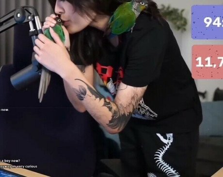 Jaiden Dittfach nudes actress images