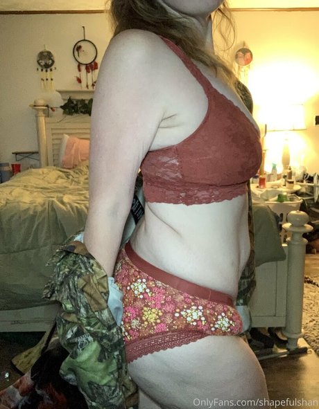 shapefulshan star art pictures