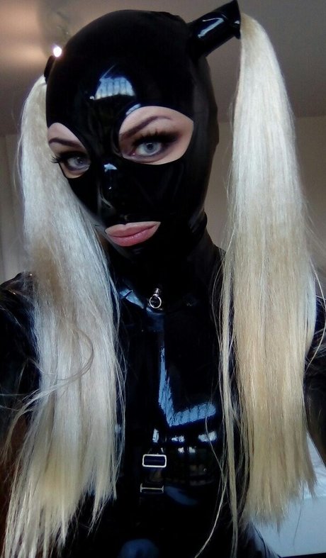 Wrapashouse model beautiful gallery