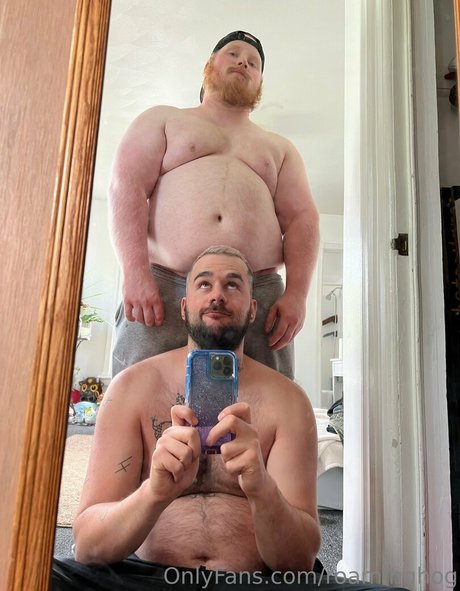 roaminghog star hd pic