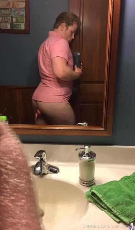 roaminghog hd model gallery