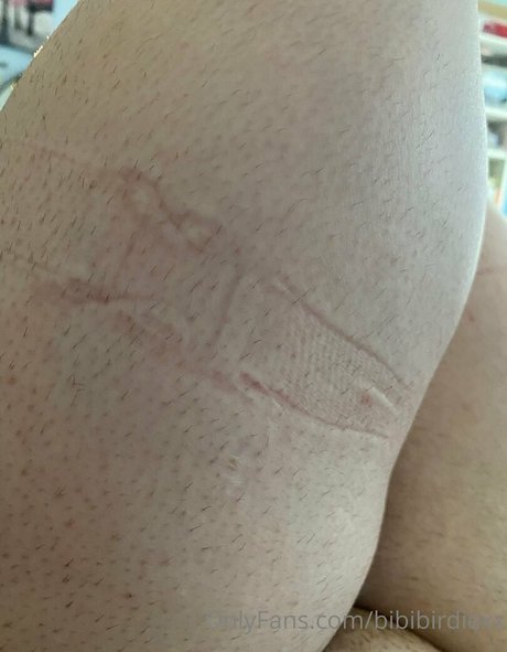 bibibirdiexx beautiful star picture