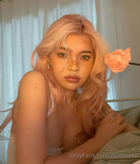 diakimeko model hd archive