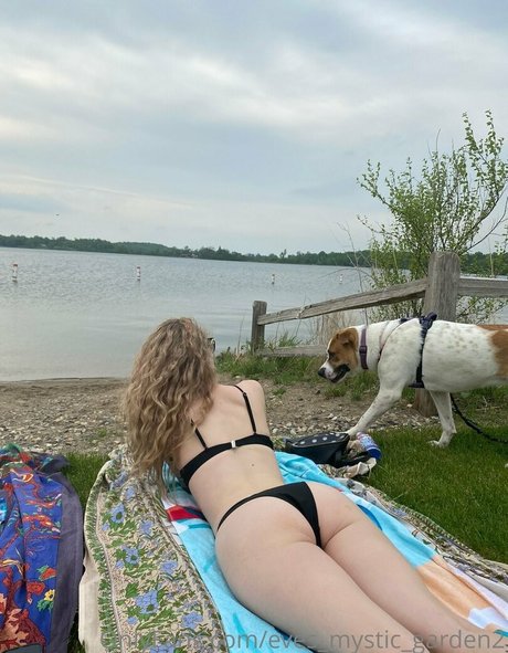 eves mystic garden2 model nice images