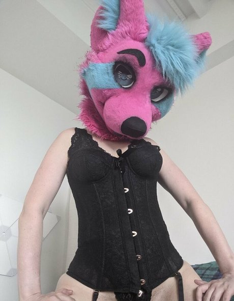 ragehound pornstar archive