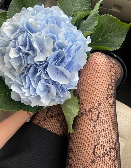 lili babe xxx pornstar pictures