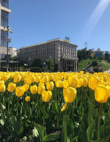 lili babe star xxx picture