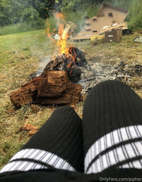 drpipher free beautiful pornstar pictures