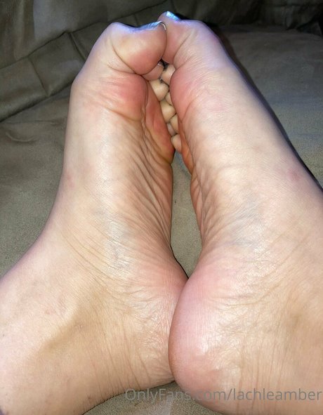 lachleamber perfect model archive