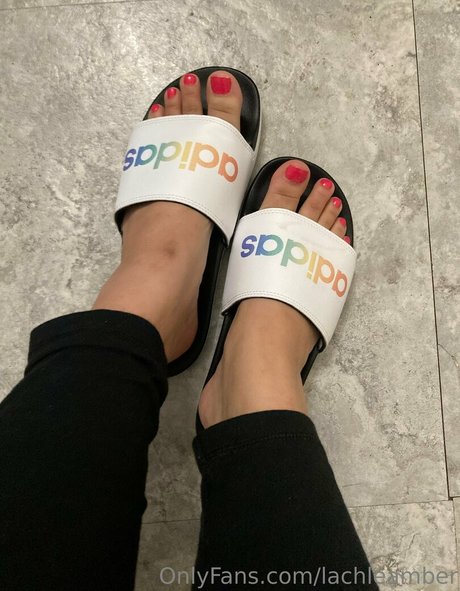 lachleamber pornstar adult photo