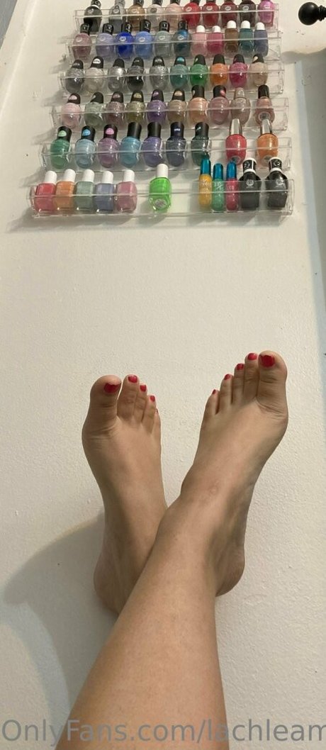 lachleamber model best archive