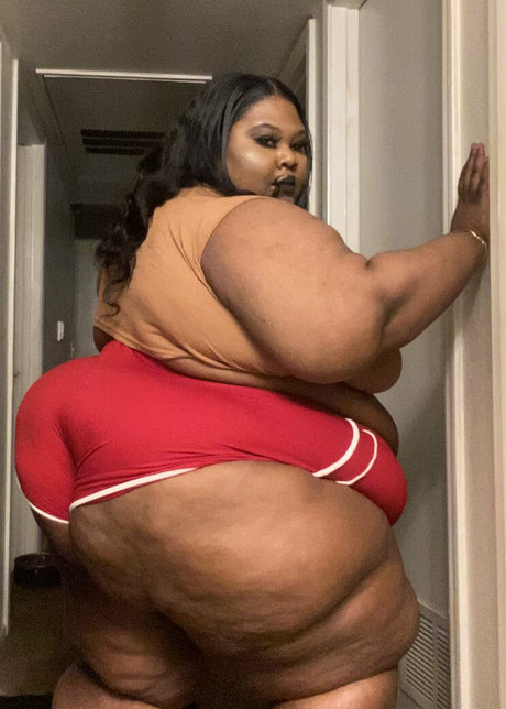 ssbbwerotika model free archive