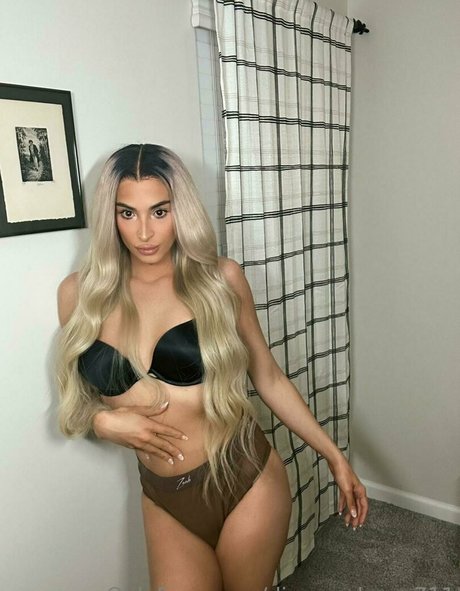 tschasitybanks star adult img