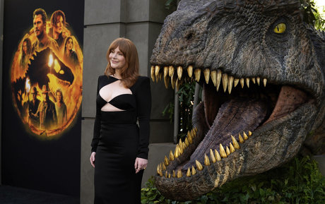 Bryce Dallas Howard nudes star picture